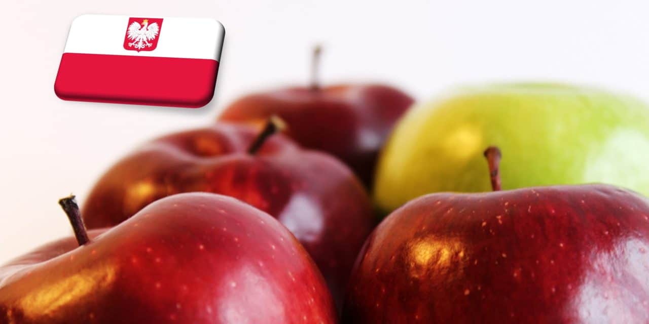 Lengyelország: esett az ipari alma felvásárlási ára