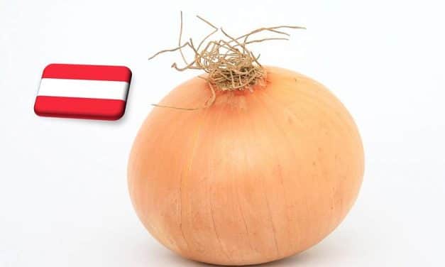 Ausztria: 30-35 euró/100 kg között maradt a hagyma ára a héten