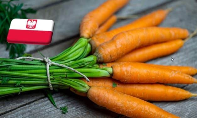 Lengyelország: november végén 10%-kal emelkedett a sárgarépa ára