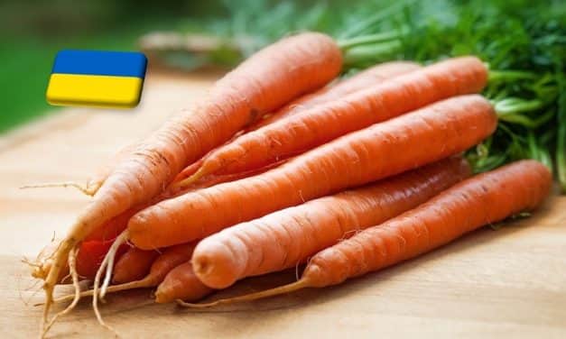 Ukrajna: egy hét alatt 11%-kal emelkedett a sárgarépa ára