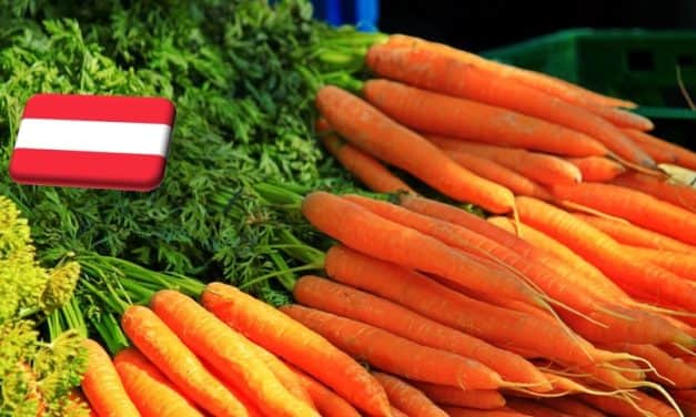 Ausztria: lassan, de megindult a sárgarépa exportja