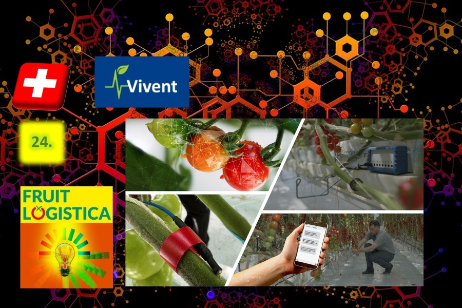 Fruit Logistica innovációk 24.: Vivent valós idejű stressz-szenzorok