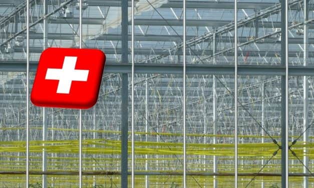 Svájc: 2040-től nem használhatók fosszilis tüzelőanyagok üvegházak fűtésére