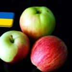 Ukrajna: óriási szükség lenne zöldség- és gyümölcstárolókra 