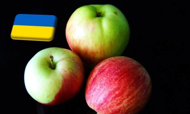 Ukrajna: a háború ellenére szárnyalt az őszi almaexport