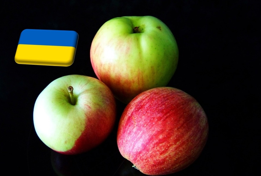 Ukrajna: a háború ellenére szárnyalt az őszi almaexport