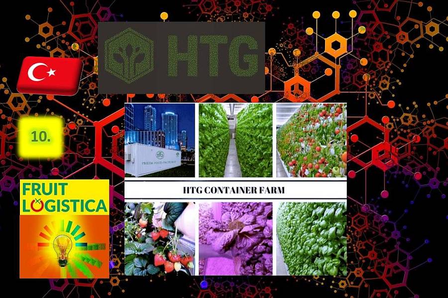 Fruit Logistica innovációk 10.: Hextech takarékos üvegház-konténerek