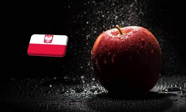 Lengyelország: átmeneti fennakadás az ipari alma felvásárlásában
