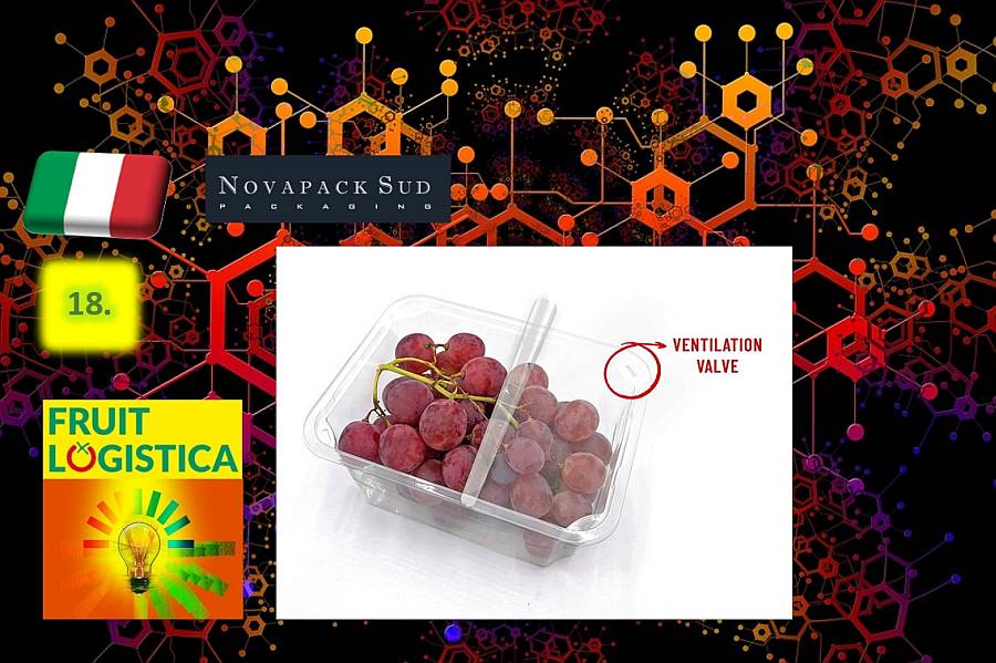 Fruit Logistica innovációk 18.: SAT lélegző gyümölcstálcák rPET-ből