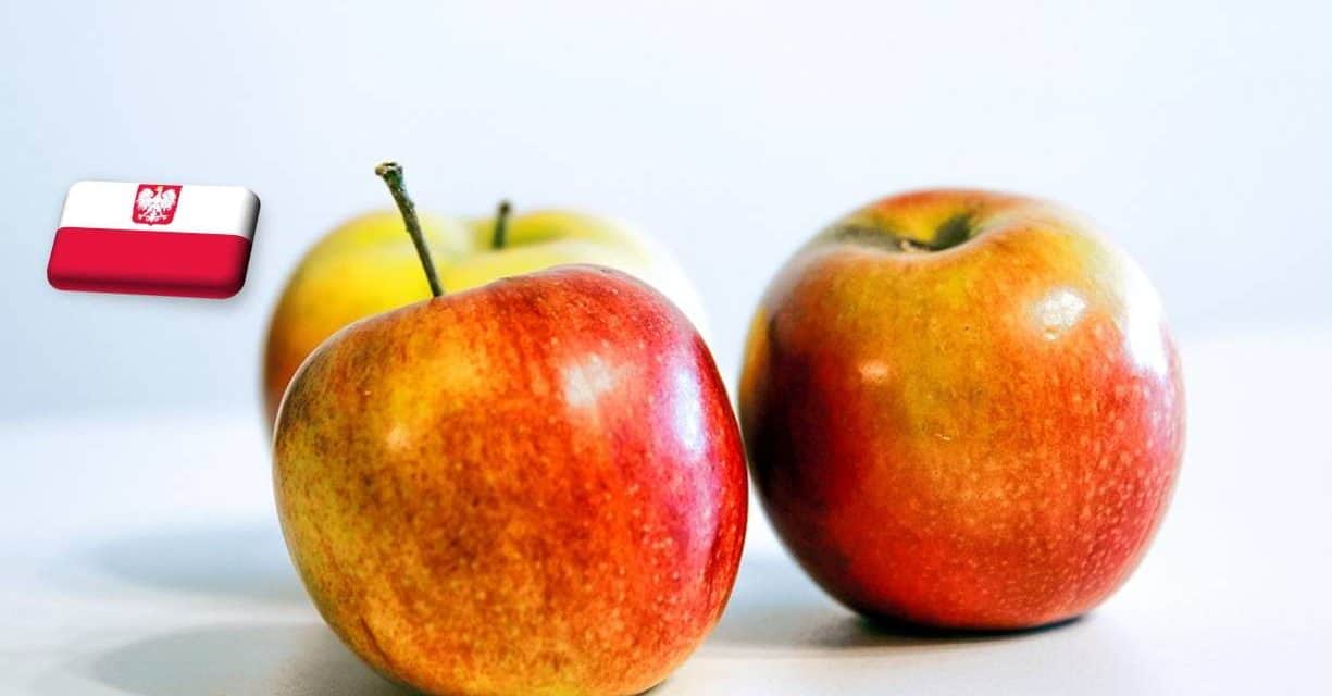 Lengyelország: tovább emelkedett az ipari alma felvásárlási ára