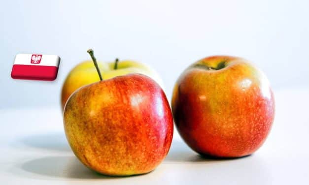 Lengyelország: tovább emelkedett az ipari alma felvásárlási ára