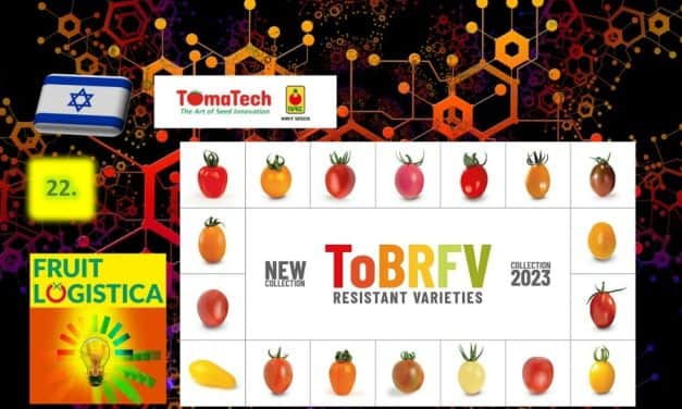 Fruit Logistica innovációk 22.: ToBRFV rezisztens paradicsomfajták