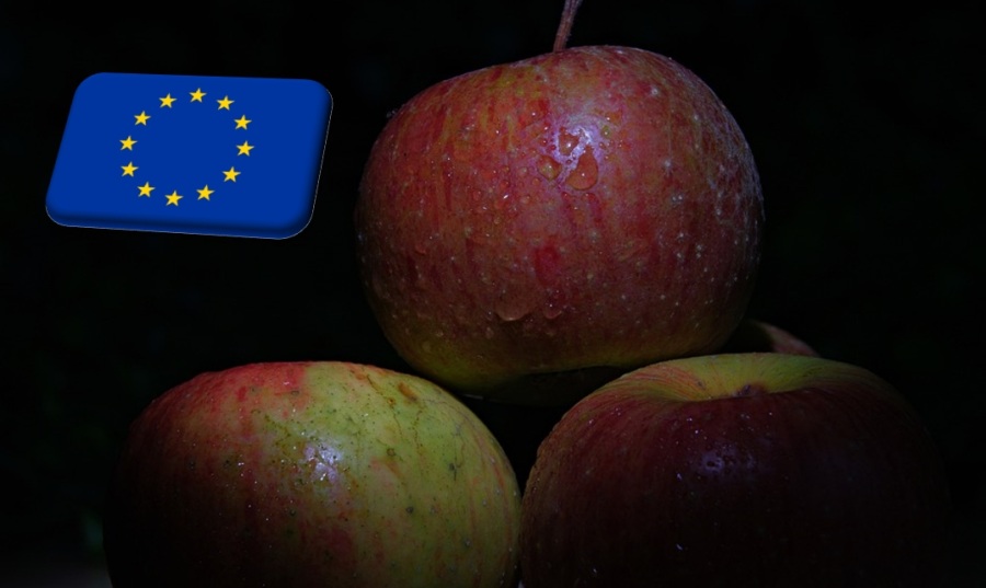 WAPA: a tavalyinál 8,6%-kal kisebbek a decemberi uniós almakészletek