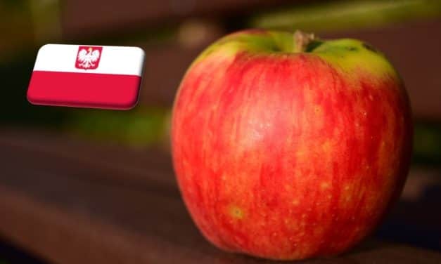 Lengyelország: a tavalyinál 16,5%-kal kevesebb alma van raktáron