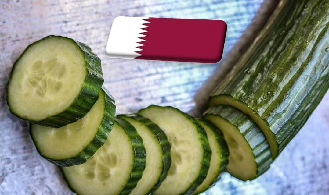 Havonta kétmillió kilogramm uborkát importál Katar