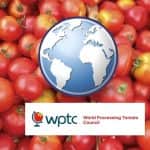 Globális piacok: 12%-kal kevesebb paradicsom került feldolgozásra, mint egy évvel korábban 