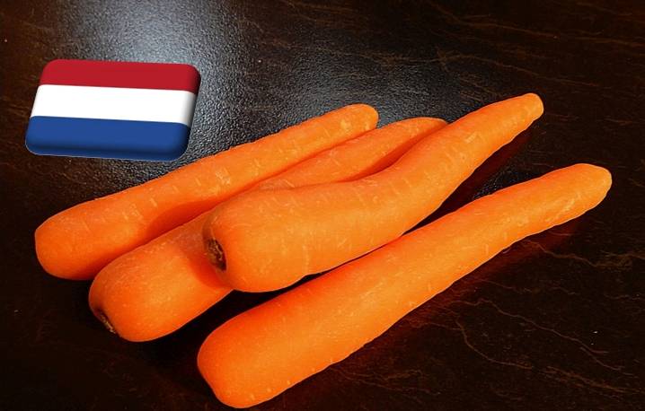 Hollandia: február elején tovább emelkedett a sárgarépa ára