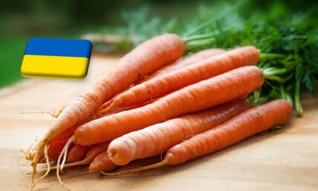Ukrajna: csökkenni kezdett a sárgarépa ára