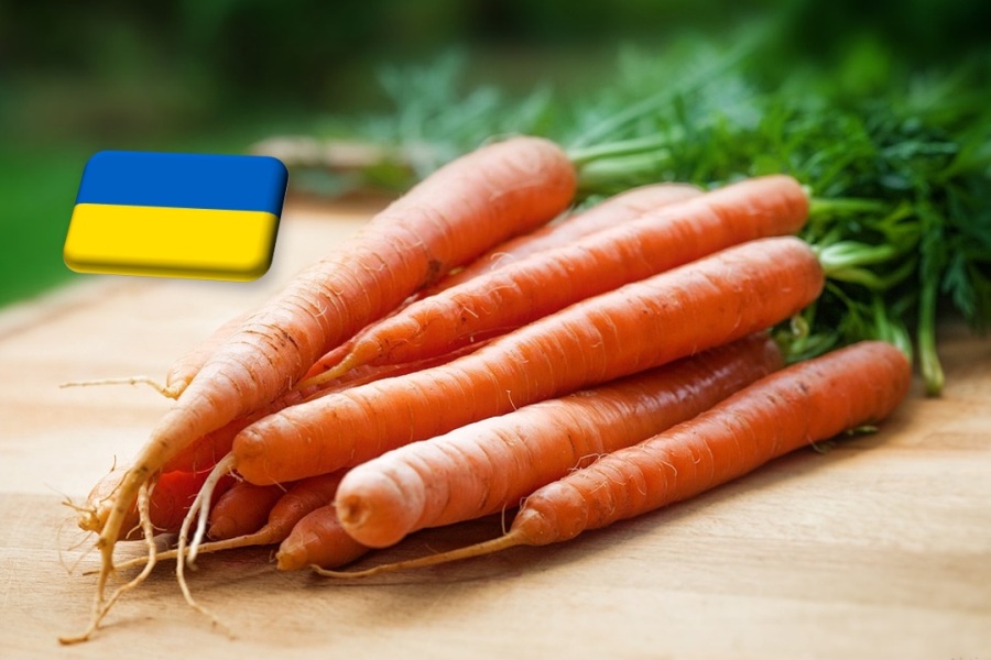Ukrajna: csökkenni kezdett a sárgarépa ára