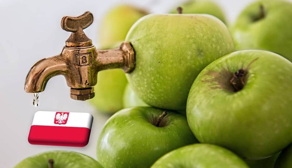 Lengyelország: tavaly 550%-kal nőtt az ukrán almalésűrítmény-import volumene