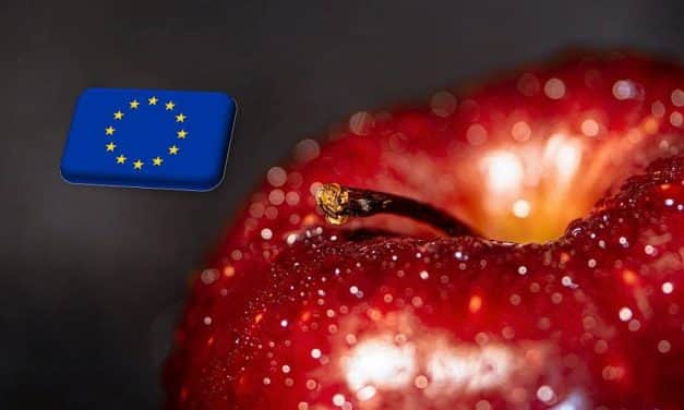 EU: a tavalyinál magasabb árak az uniós almapiacokon