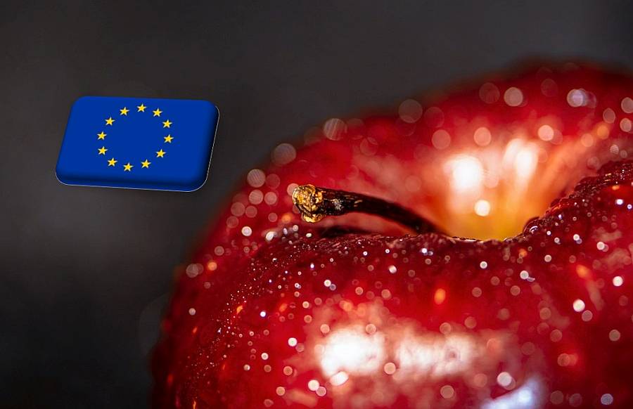 EU: a tavalyinál magasabb árak az uniós almapiacokon
