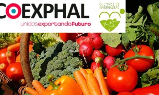 COEXPHAL: Komoly veszélyben Európa zöldség-gyümölcs ellátása