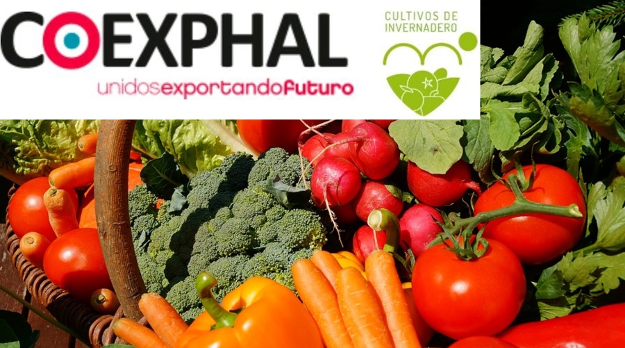 COEXPHAL: Komoly veszélyben Európa zöldség-gyümölcs ellátása