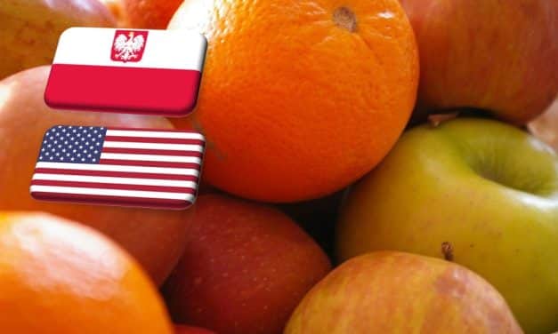 Lengyelország: jó kilátásokkal kecsegtet az amerikai almasűrítmény-piac