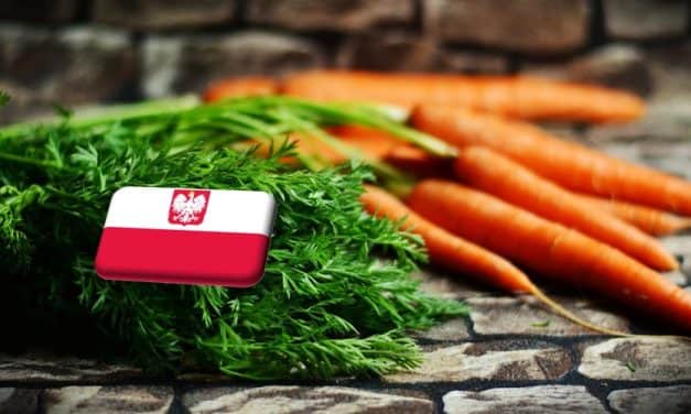 Lengyelország: újabb áremelkedés a sárgarépa piacán