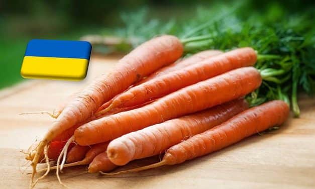 Ukrajna: egy hét alatt 25%-kal emelkedett a sárgarépa ára