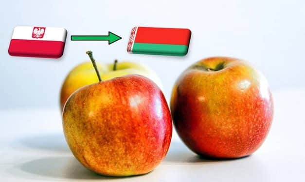Lengyelország: időszakosan újraindulhat a belarusz almaexport