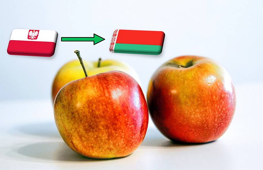 Lengyelország: időszakosan újraindulhat a belarusz almaexport