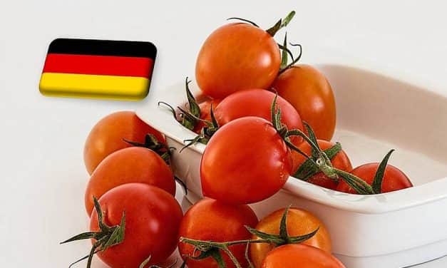 Németország: 25%-kal esett vissza tavaly a hollandiai paradicsomimport