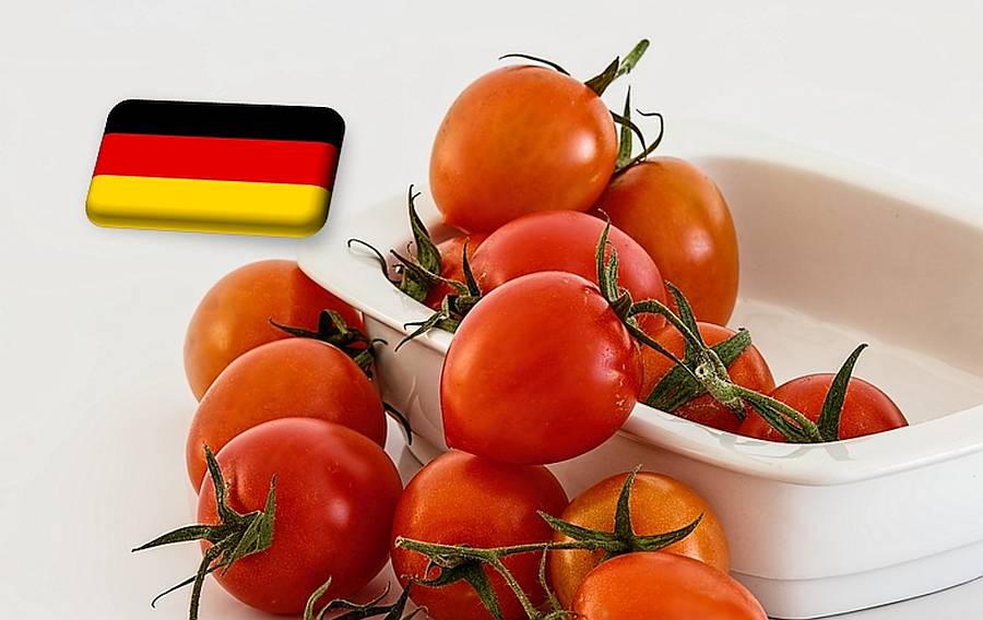 Németország: 25%-kal esett vissza tavaly a hollandiai paradicsomimport