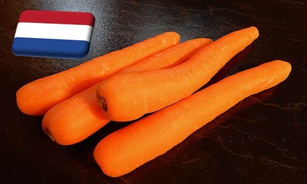 Hollandia: csaknem 20%-kal emelkedett a sárgarépa ára egy hét alatt