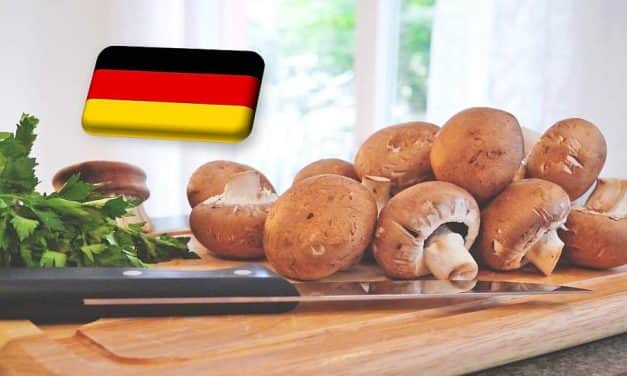 Németország: tavaly 6%-kal csökkent a termesztett csiperke volumene