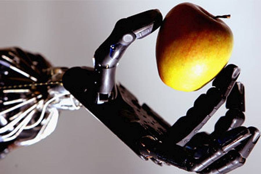 A jövő művelési rendszerei az almatermesztésben