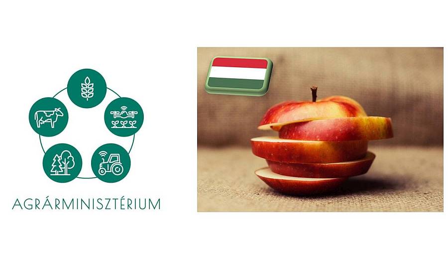 AM: a folyamatos fejlődés jelentheti a magyar alma számára a jövőt