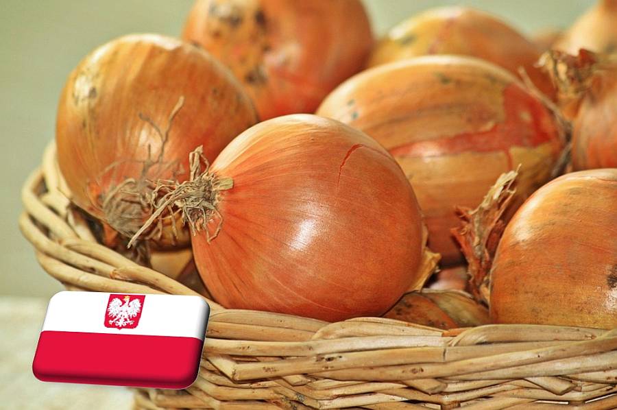 Lengyelország: tovább esett a hagyma ára a nagybani piacokon