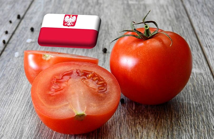 Lengyelország: késve és drágábban kerül piacra a belföldi hajtatott paradicsom
