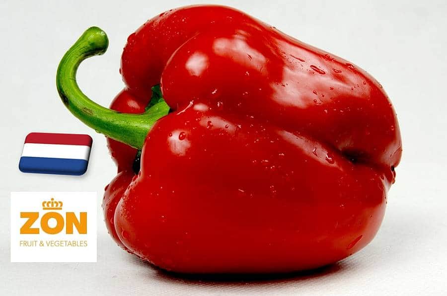 Hollandia: kis mértékben csökkent a kaliforniai paprika ára