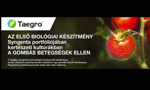 Taegro: biológiai készítmény gombás betegségek ellen (x)