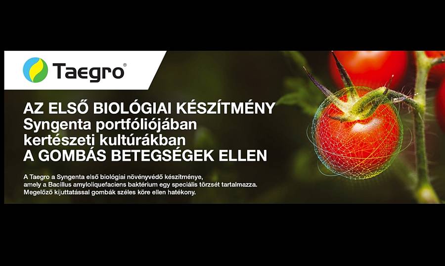 Taegro: biológiai készítmény gombás betegségek ellen (x)