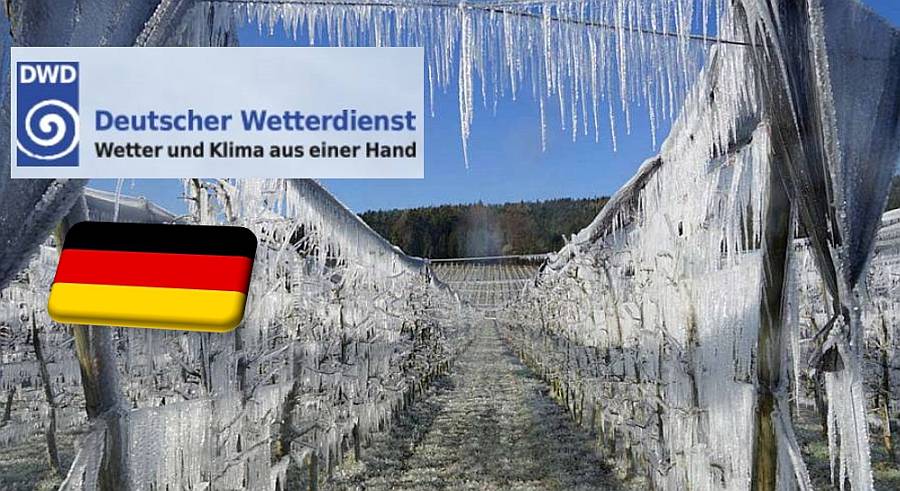 Németország: nőtt a tavaszi fagykárok kockázata az utóbbi évtizedekben
