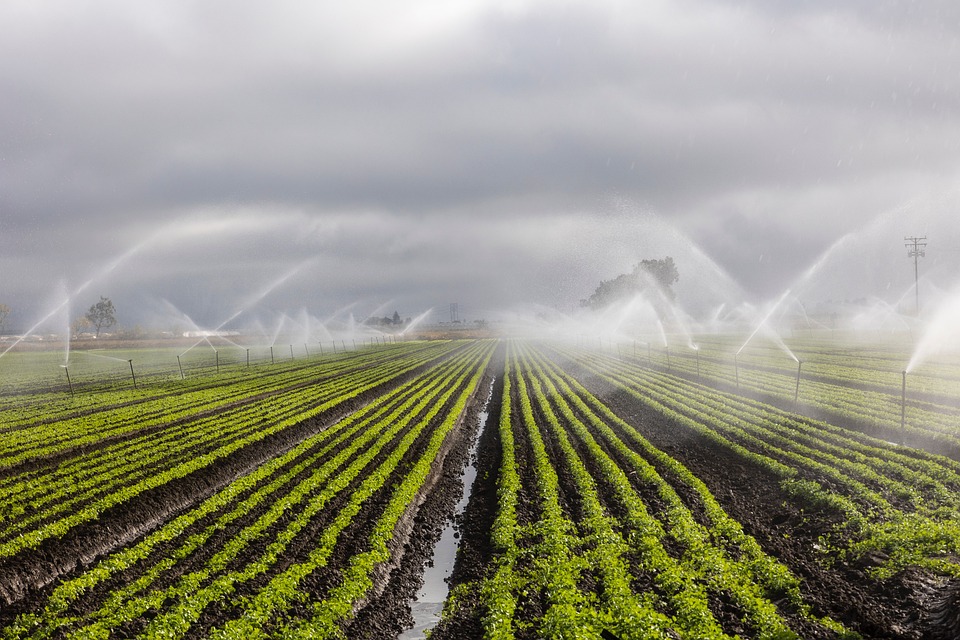 Idén nem kell mezőgazdasági vízszolgáltatási díjat fizetni öntözéskor