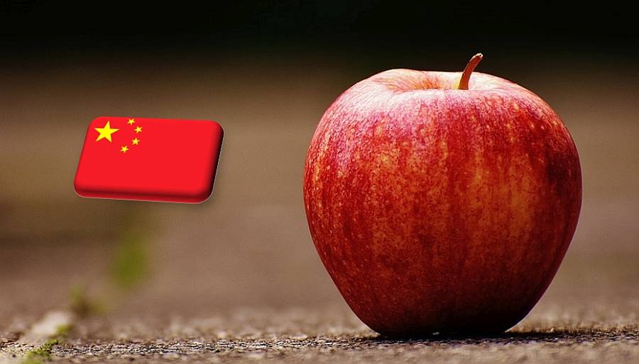 Kína: a tavalyi év után ismét jelentős fagykár sújthatta az almaültetvényeket
