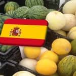 Spanyolország: 2026-ban lendületet vehet a dinnyeágazat 
