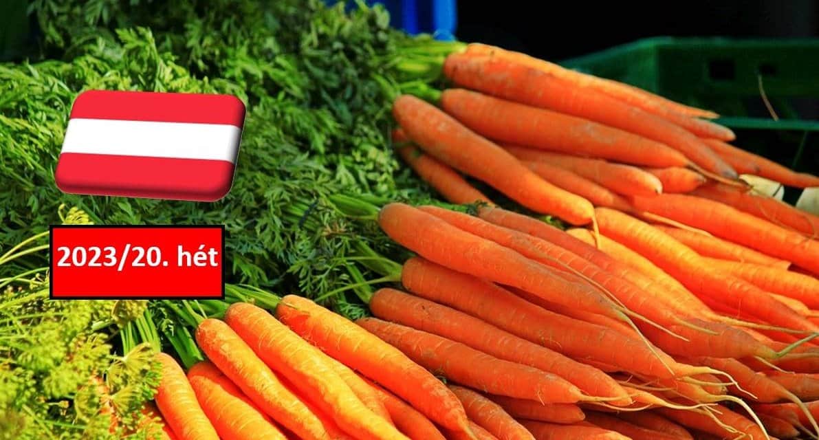 Ausztria: a 20. héten is változatlan maradt a sárgarépa nagybani ára a sógoroknál