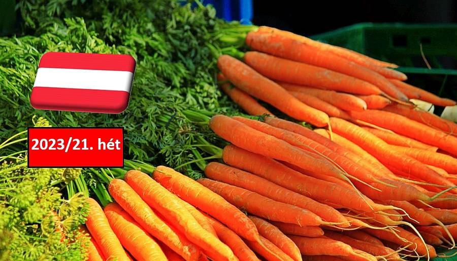 Ausztria: a 21. héten is változatlan maradt a sárgarépa nagybani ára a sógoroknál